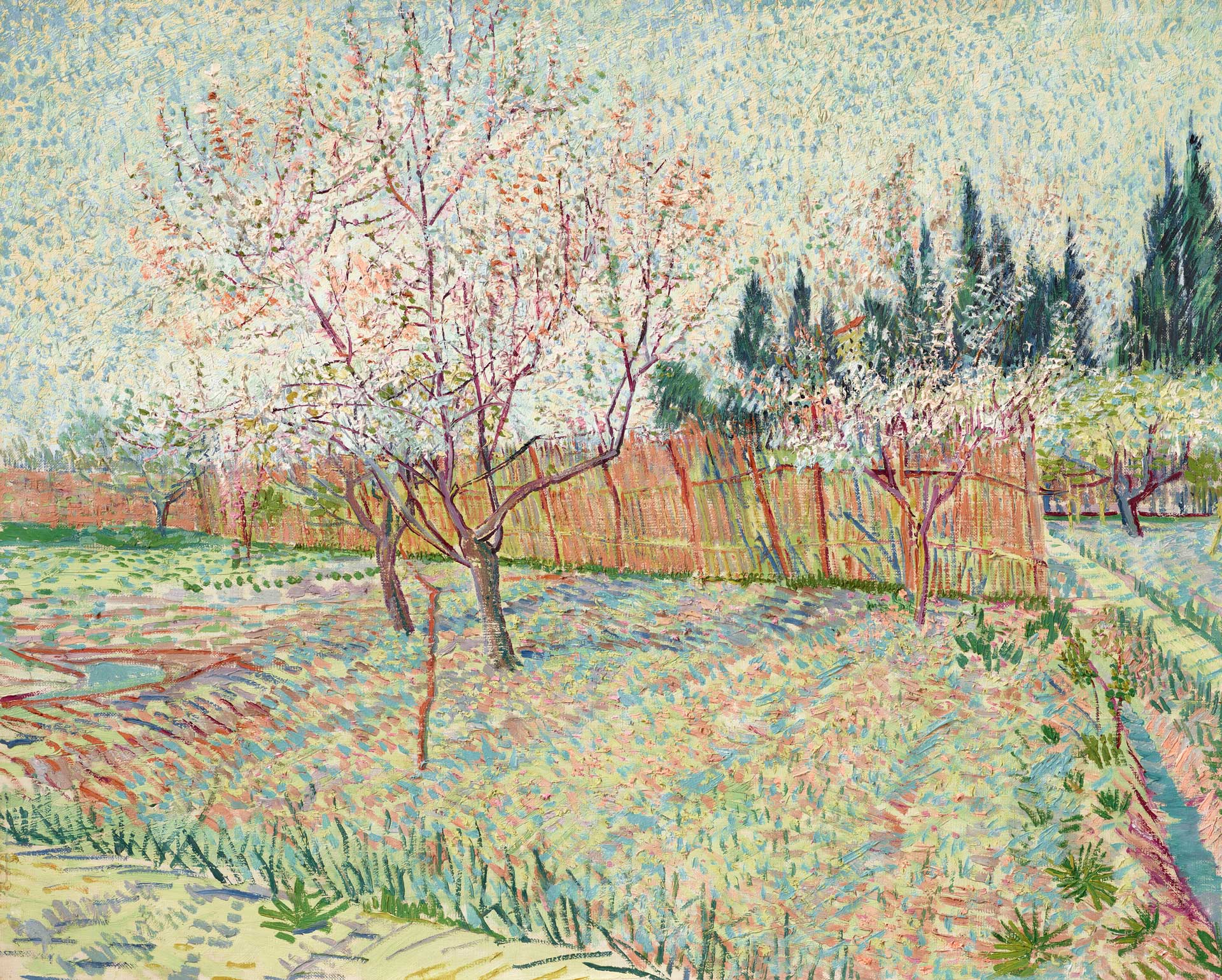 Vincent-Van-Gogh-Verger-avec-cyprès