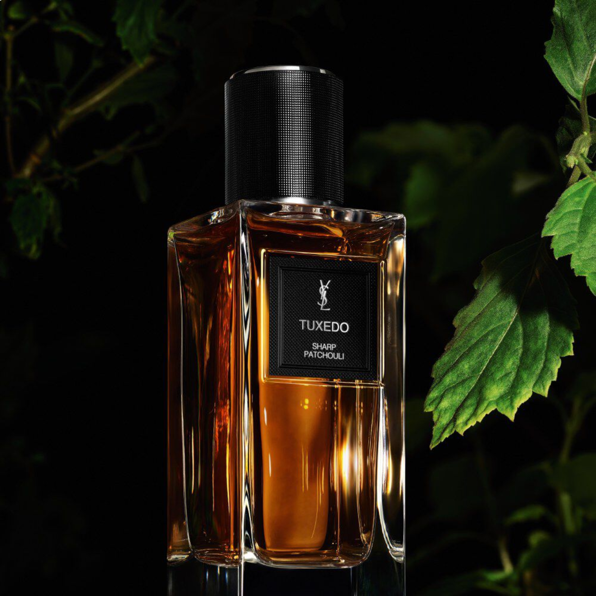 Profumi-autunno-2025-6-Robb-Report-Italia