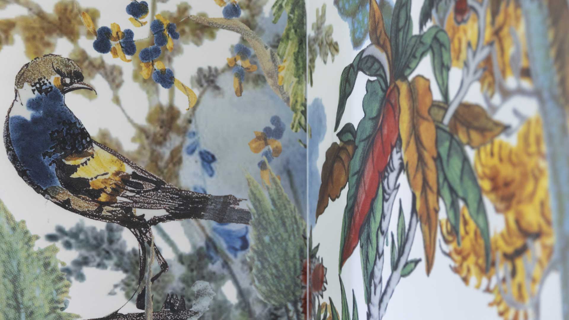 Simeti-4-Robb-Report-Italia