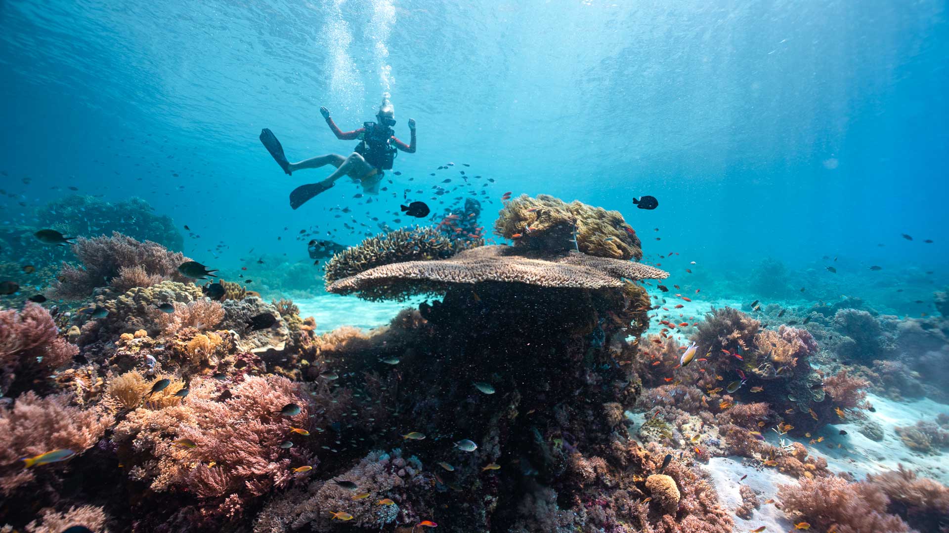 Prana-by-Atzaró-2-Robb-Report-Italia