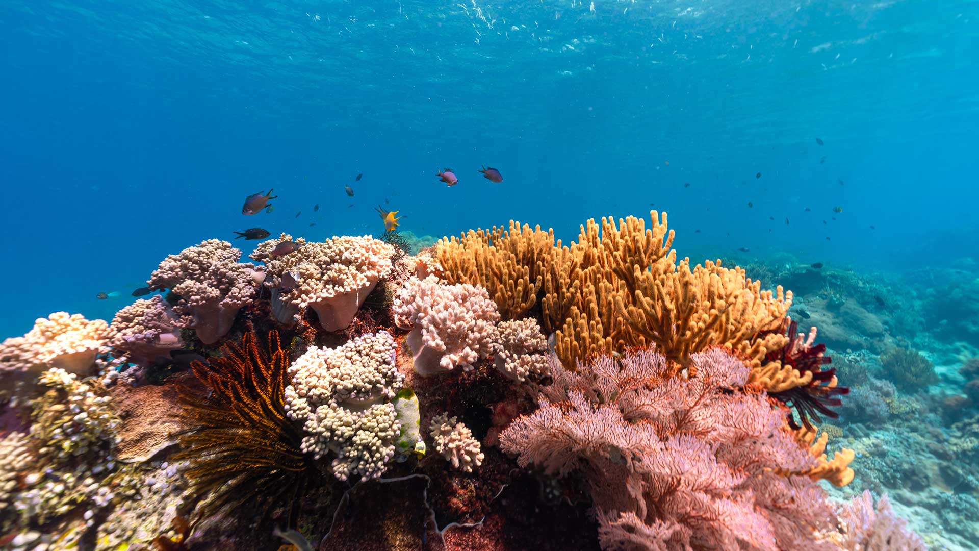 Prana-by-Atzaró-3-Robb-Report-Italia