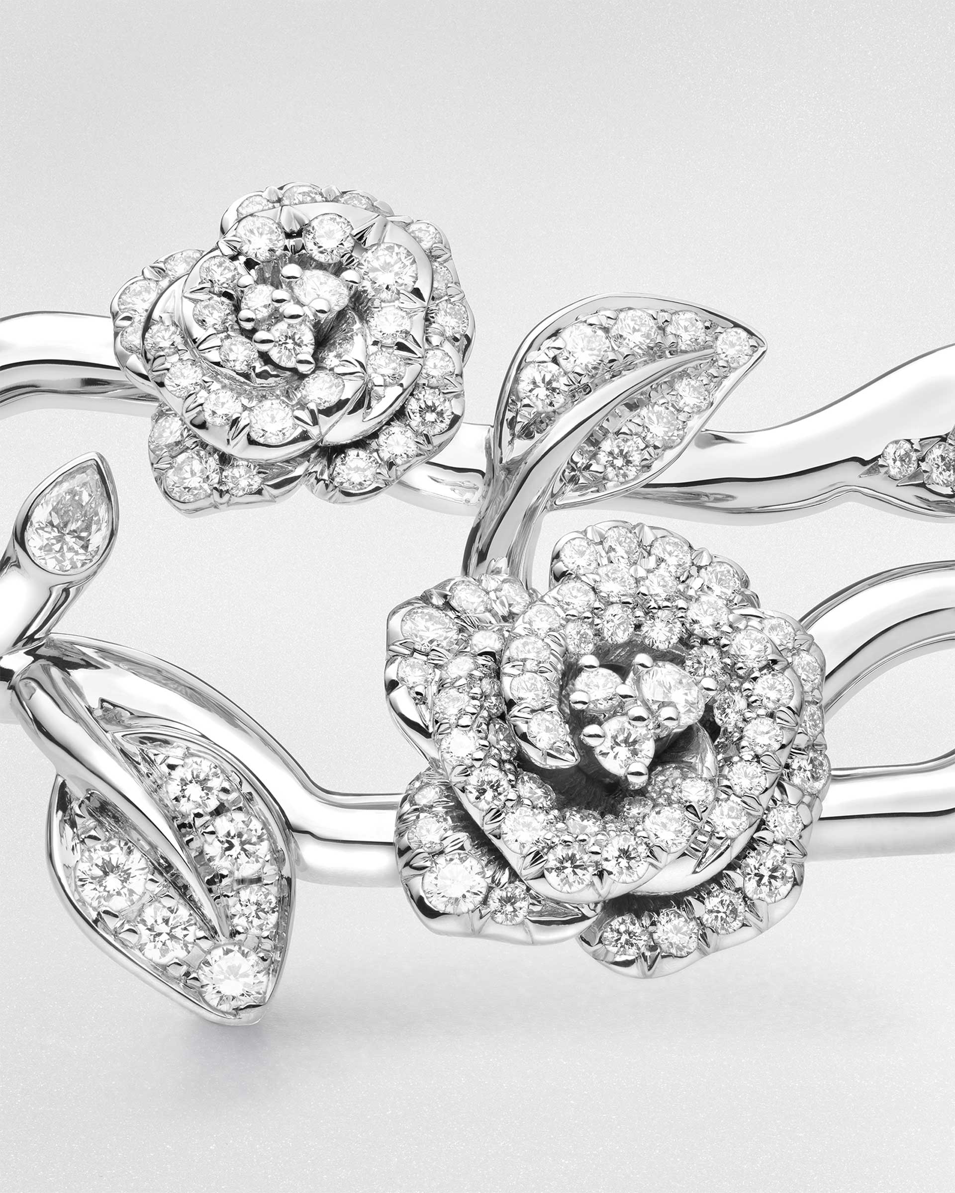 La-Rose-Dior-2025-3-Robb-Report-Italia