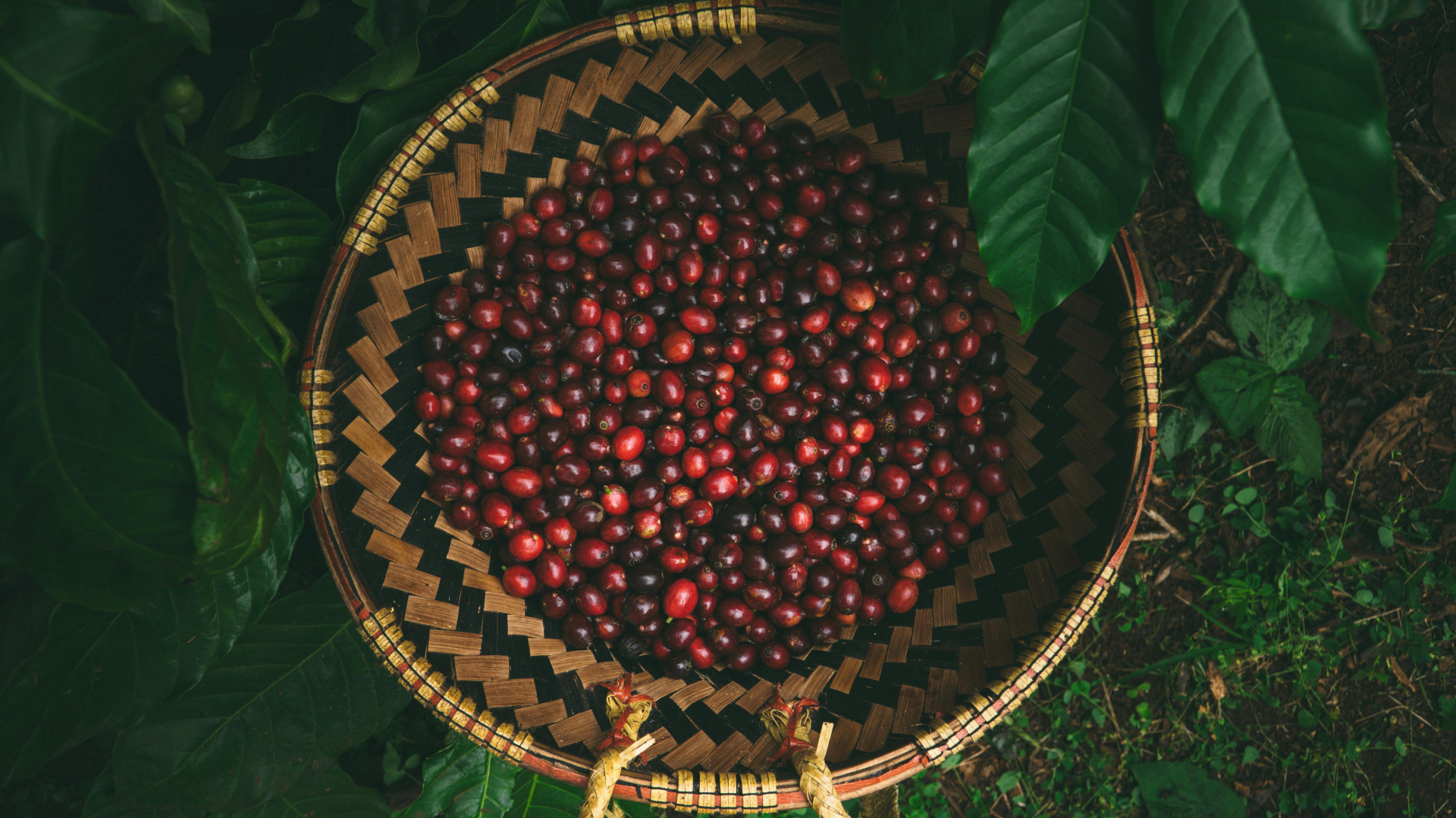 Caffè-3-Robb-Report-Italia