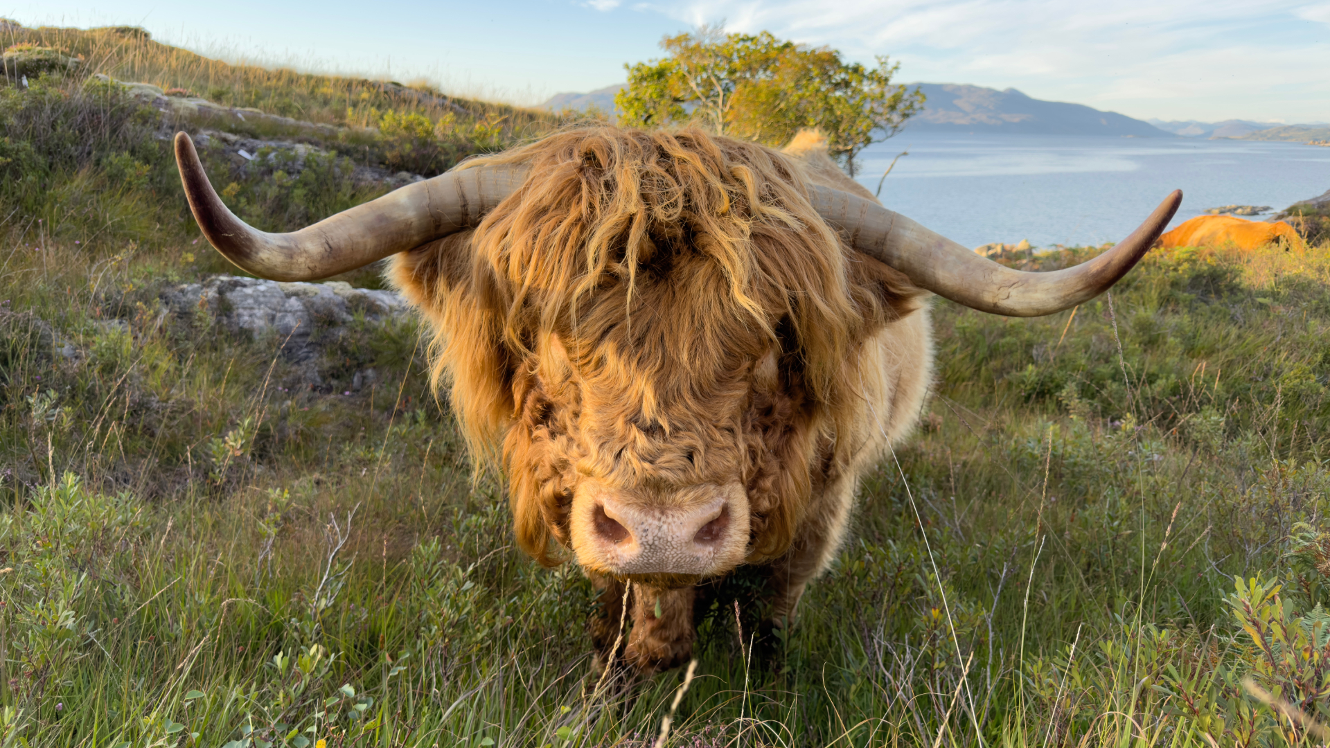 Kilchoan-Estate-6-Robb-Report-Italia