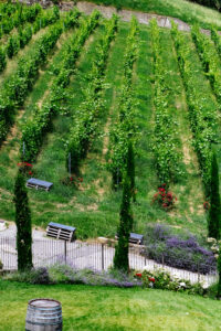 Podere-Cavàga-7-Robb-Report-Italia