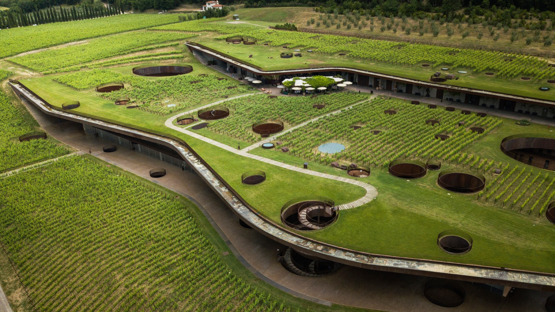 Sampling-the-Vineyard-2-Robb-Report-Italia