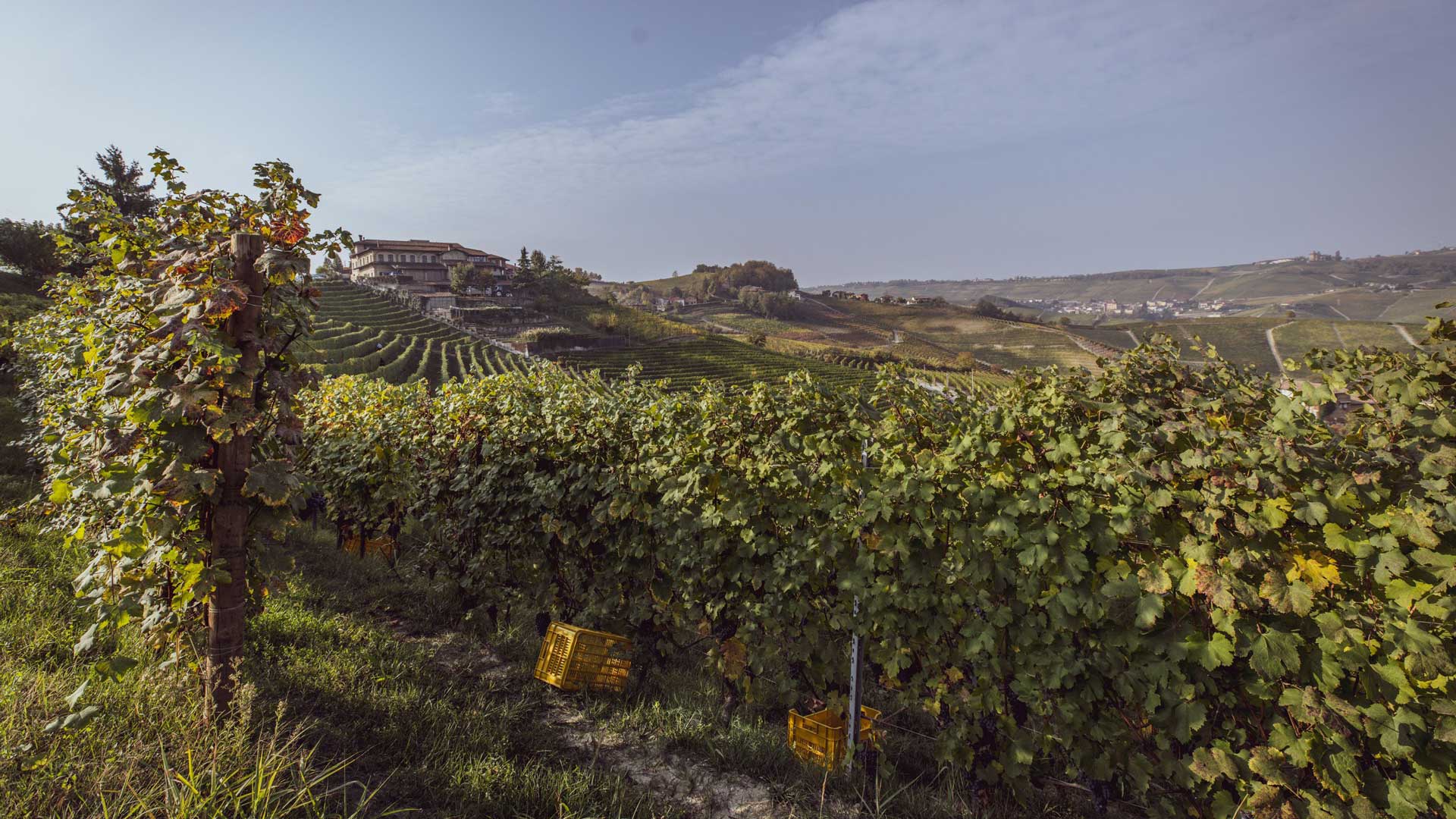 Parusso-3-Robb-Report-Italia