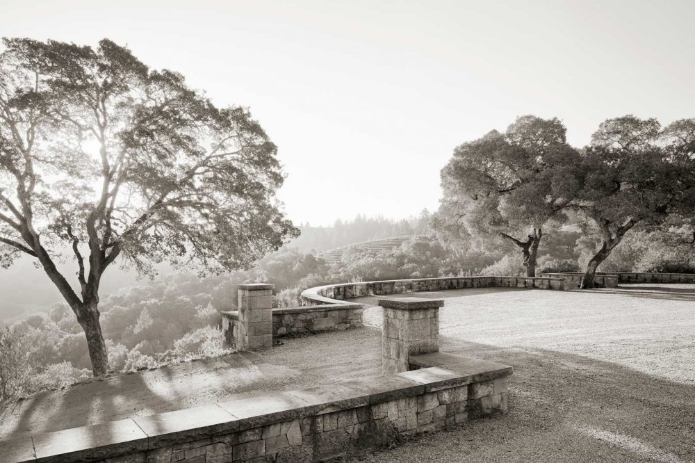 bond-vini-napa-valley-robb-report-italia