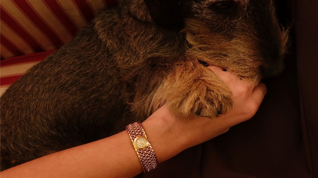 Carlotta-Parmegiani-2-Robb-Report-Italia