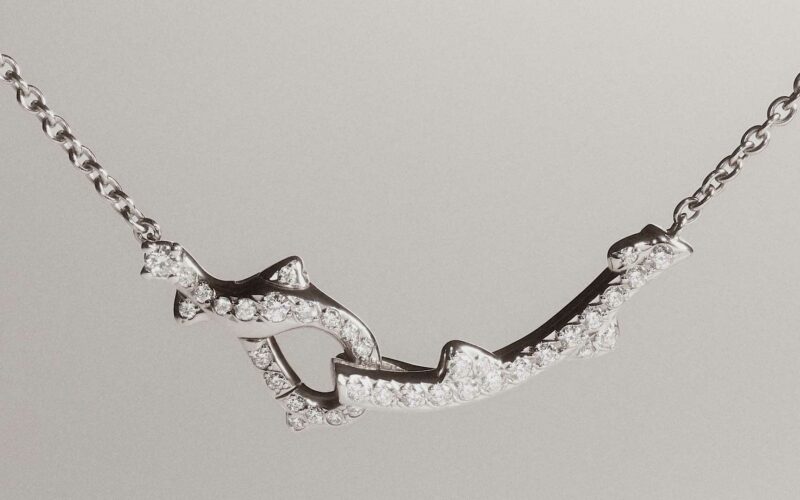 La-Rose-Dior-2025-2-Robb-Report-Italia