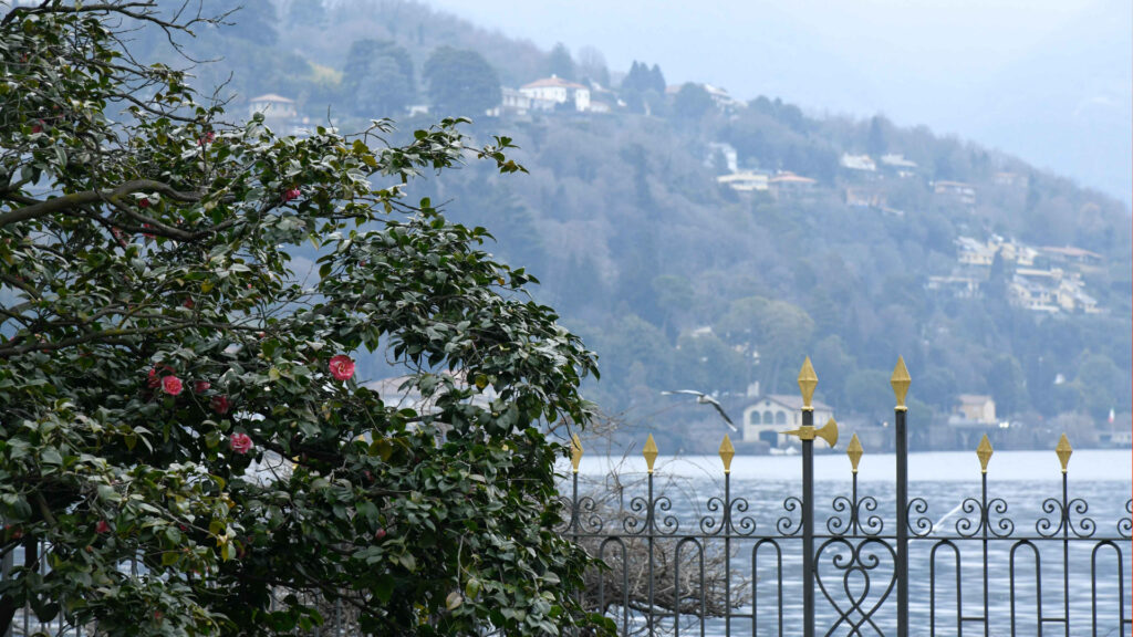 Design-Festival-1-Robb-Report-Italia