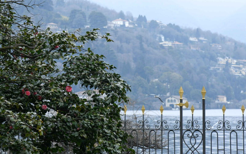 Design-Festival-1-Robb-Report-Italia