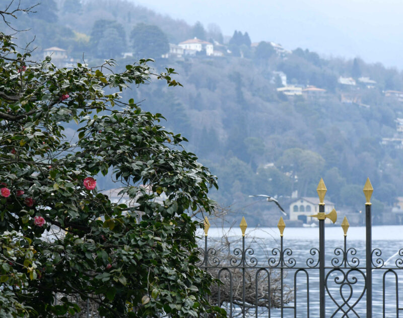 Design-Festival-1-Robb-Report-Italia