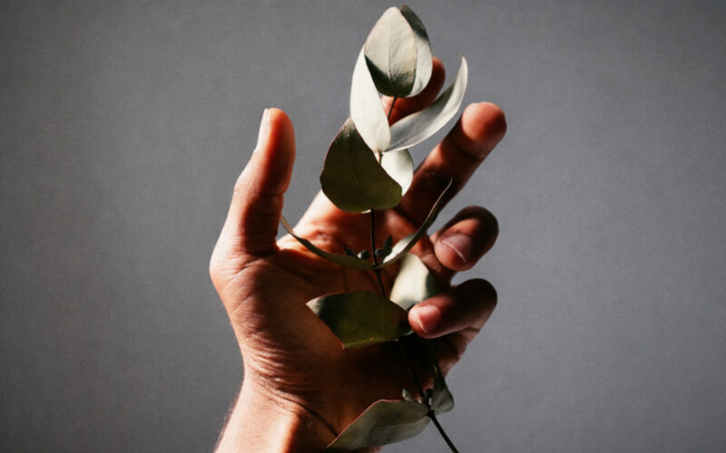 Pelle-delle-mani-1-Robb-Report-Italia