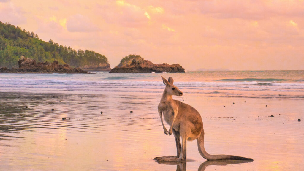 Spiagge-australiane-3-Robb-Report-Italia