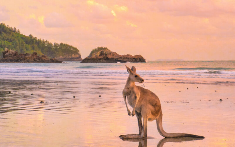 Spiagge-australiane-3-Robb-Report-Italia