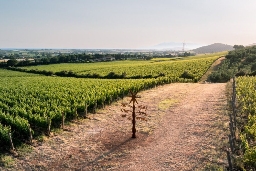 Verruzzo-e-Vermentino-1-Robb-Report-Italia