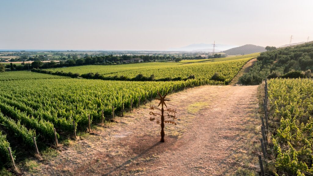 Verruzzo-e-Vermentino-1-Robb-Report-Italia