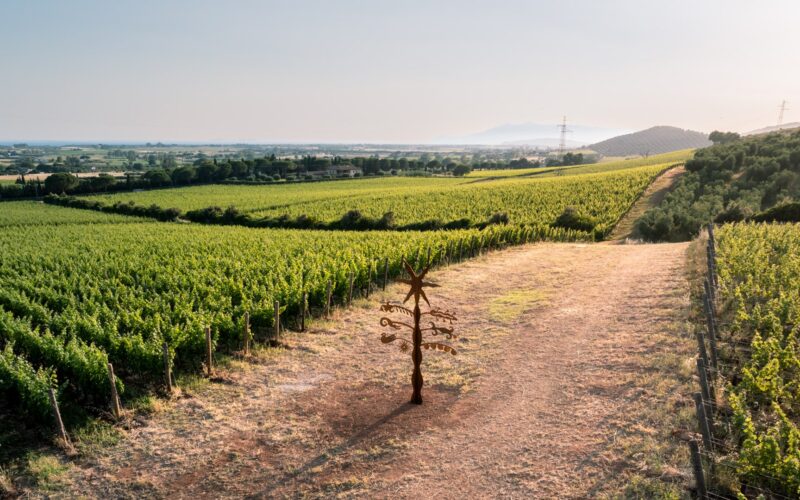 Verruzzo-e-Vermentino-1-Robb-Report-Italia